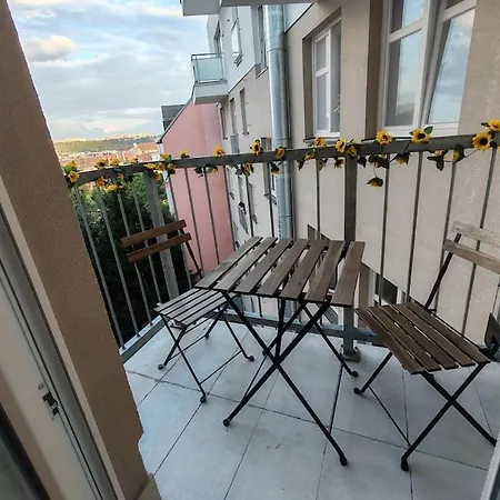 Star With Terrace 5c Brno
