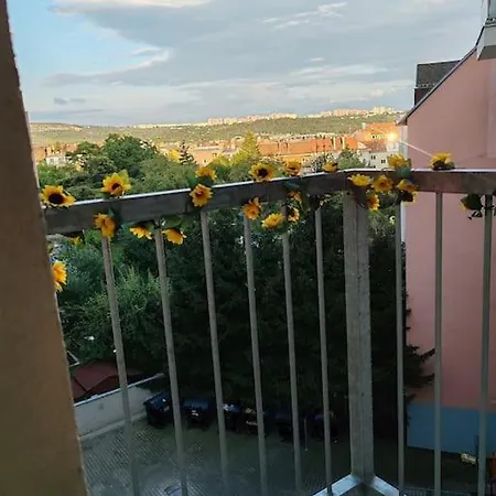 Star With Terrace 5c *